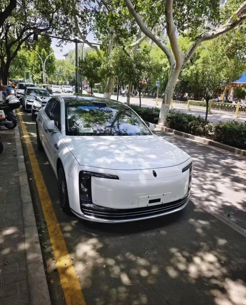 尊界 S800