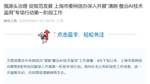 上海市委网信办整治AI技术滥用 15家平台清理82万条违规内容​