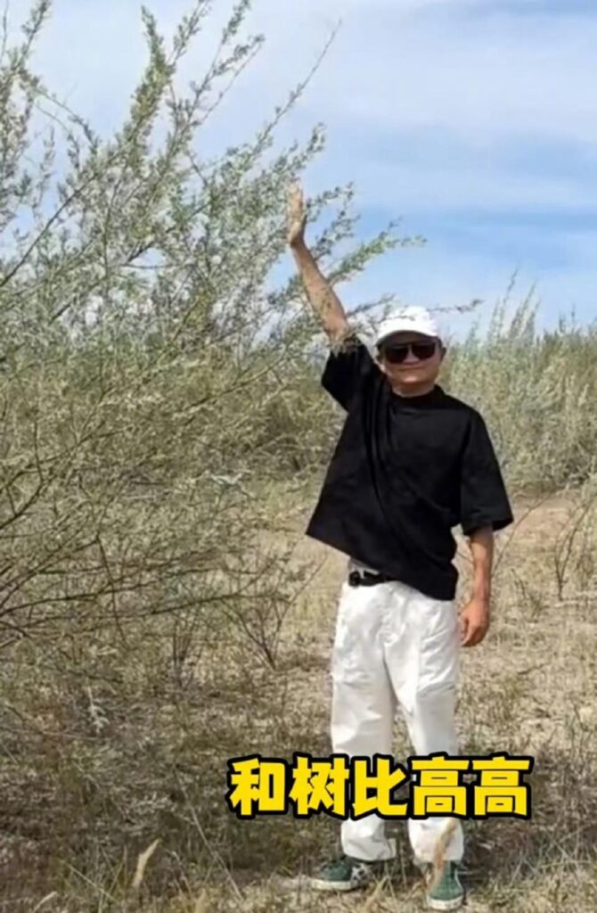 马云时隔六年重访蚂蚁森林