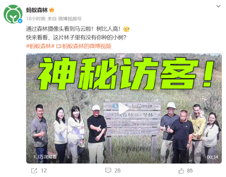 马云时隔六年重访蚂蚁森林