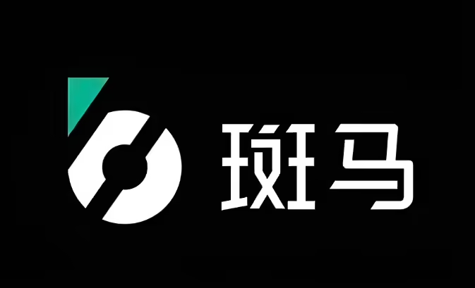 斑马网络