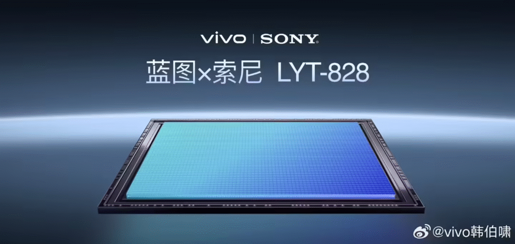 vivo X300