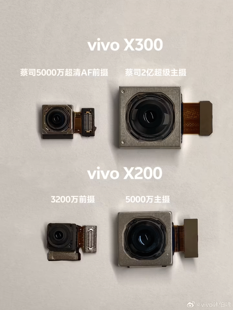 vivo X300