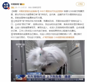 铁路12306 App上线宠物托运服务，全国40座高铁站已开通​