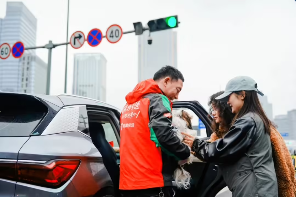 用户使用“宠物快送”送宠物去洗护店