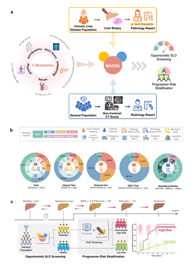 阿里达摩院发布MAOSS模型