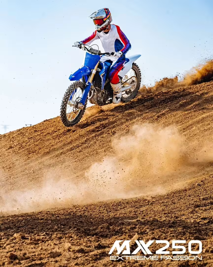 张雪机车 MX250 摩托车