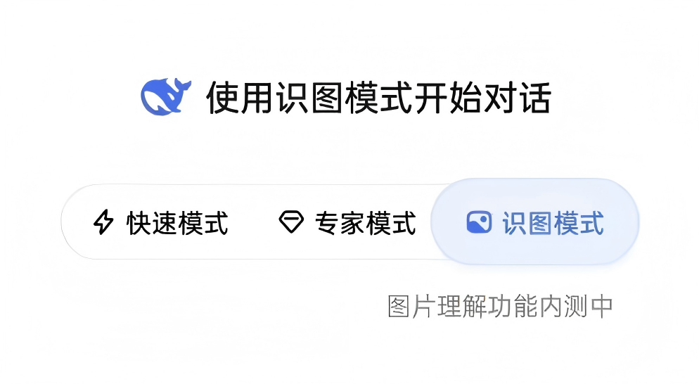 DeepSeek 识图模式
