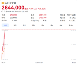 智谱港股总市值首破1万亿港元，年内涨幅超2000%