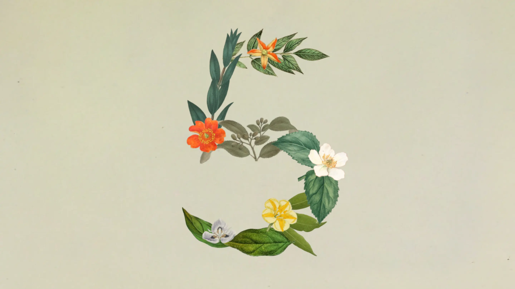Claude Sonnet 5