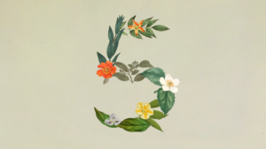 Anthropic 发布 Claude Sonnet 5：智能体能力大幅跃升部分场景逼近 Opus 4.8