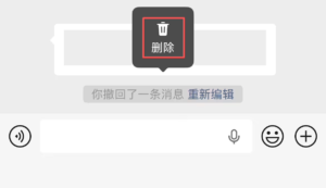 微信支持删除“你撤回了一条消息”灰字 仅清本地视图不改对端提示