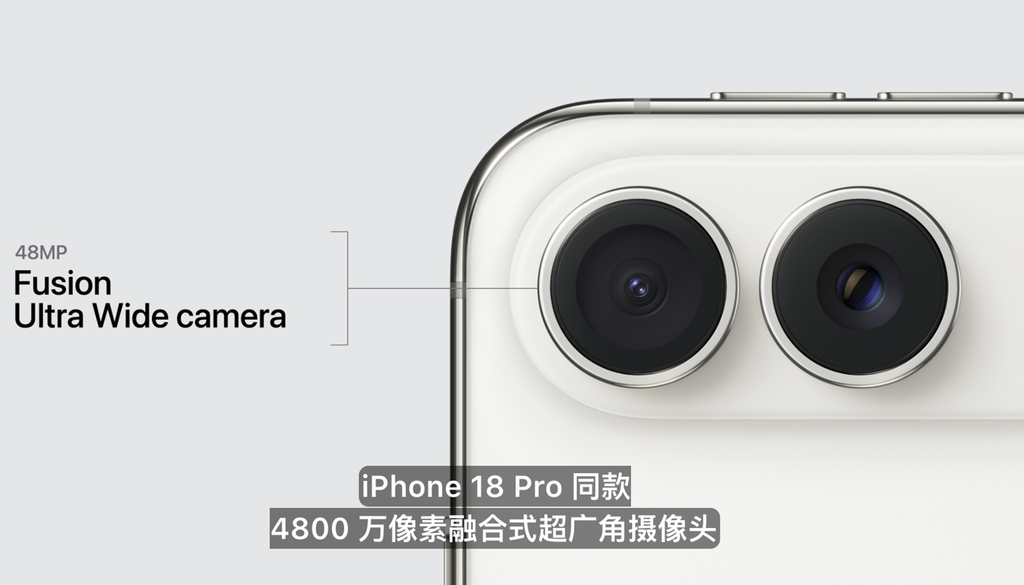 iPhone Duo